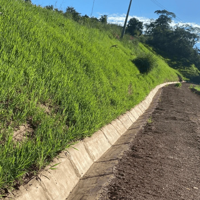 Aplicação de Hidrossemeadura 6
